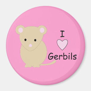 I aimant de gerbilles de coeur