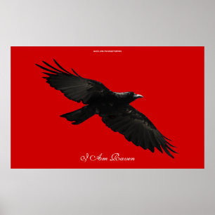 I AM RAVEN III Flying Black Raven Poster