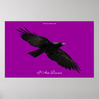 I AM RAVEN III Flying Black Raven Poster