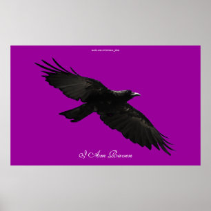 I AM RAVEN III Flying Black Raven Poster