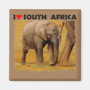 I Coeur Afrique du Sud Eléphant veau Aimant