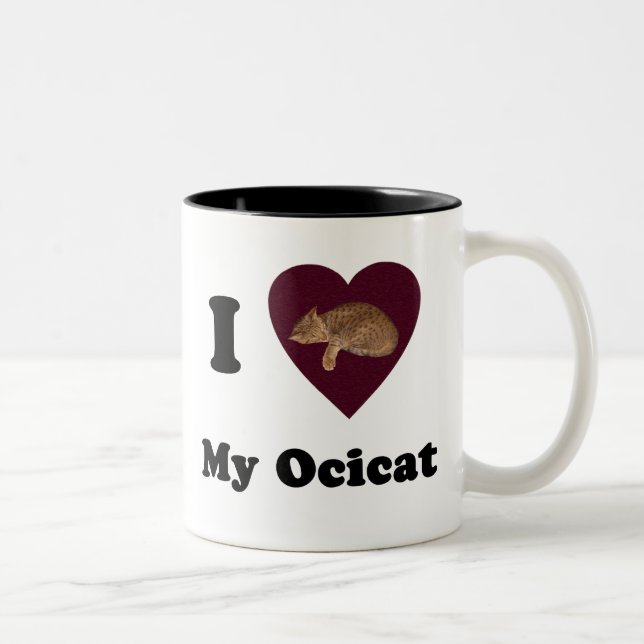 I coeur ma tasse d'Ocicat (Droit)