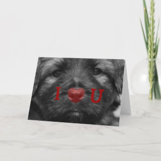 I coeur vous carte de voeux de chiot