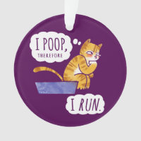 I dunette, par conséquent je cours le chat drôle