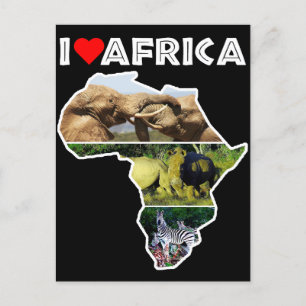 I Heart Africa Wildlife Collector Carte postale