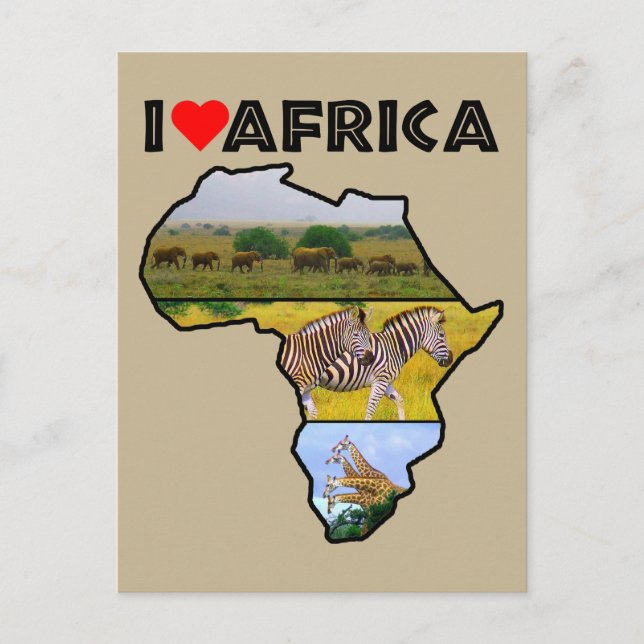 I Heat Africa Wildlife Collector Carte postale (Devant)