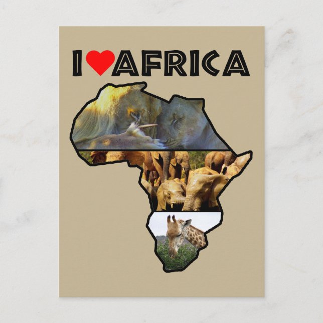 I Heat Africa Wildlife Collector Carte postale (Devant)