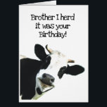 I Herd it Was Your Birthday Brother Holstein Cow<br><div class="desc">I Herd it Was Your Birthday Brother Fun Cow Humor and hope it puts you in a good mooood.   Funny animal birthday humor with a herd of cows.   Good card for someone with a sense of humor or a farmer</div>