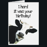 I Herd it Was Your Birthday Fun Holstein Cow Humor<br><div class="desc">I Herd it Was Your Birthday Fun Cow Humor and hope it puts you in a good mooood.   Funny animal birthday humor with a herd of cows.   Good card for someone with a sense of humor or a farmer</div>