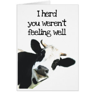 I Herd You weren't Feeling Well Holstein Cow Humor