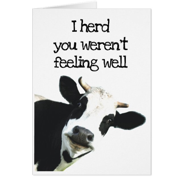 I Herd You weren't Feeling Well Holstein Cow Humor (Devant)