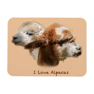 I Love Alpacas Magnets