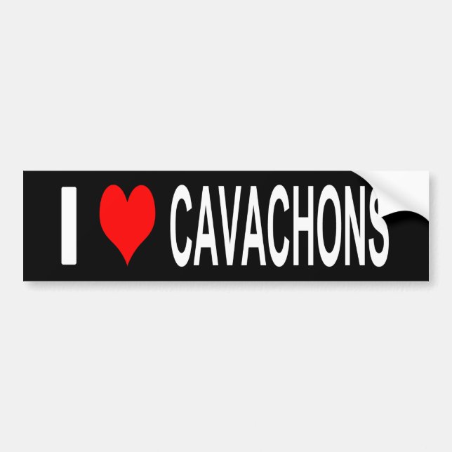 I Love Cavachons Bumper Sticker (Devant)