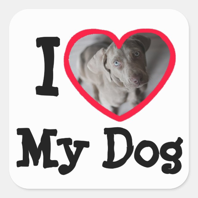 I Love (coeur) My Dog Stickers Photo Personnalisé (Devant)