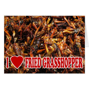 I Love (Heart) Fried Grasshopper