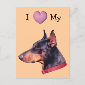 I Love Heart My Doberman Dog Carte Postale