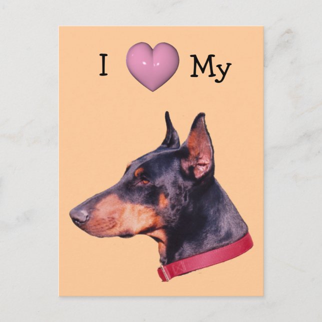 I Love Heart My Doberman Dog Carte Postale (Devant)