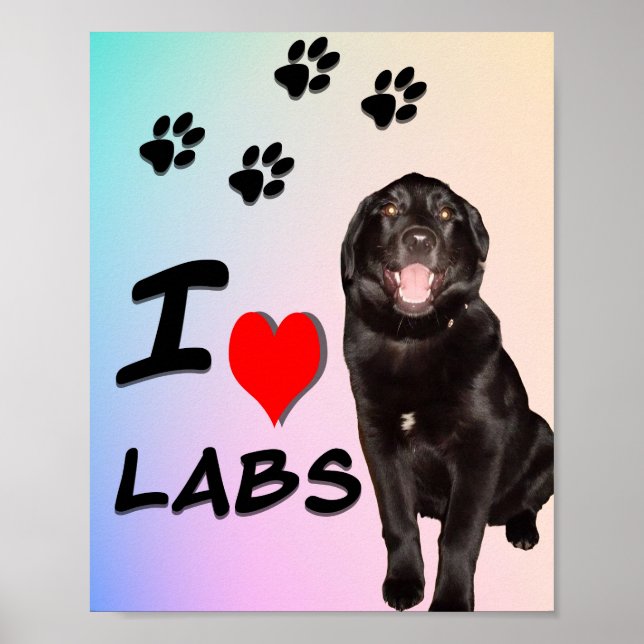 I Love Labs Print, Value Poster Paper (Matte) (Devant)