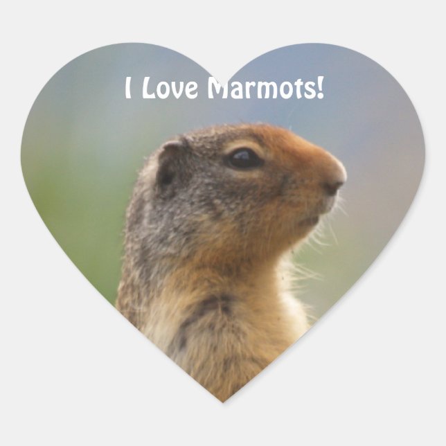 I Love Marmottes Faune Photo Sticker Coeur (Devant)