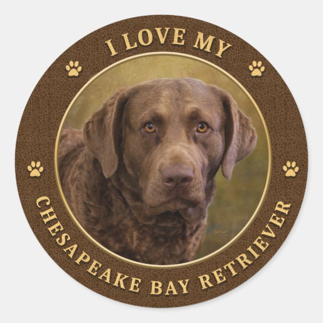 I Love My Chesapeake Bay Retriever Stickers Round (Devant)