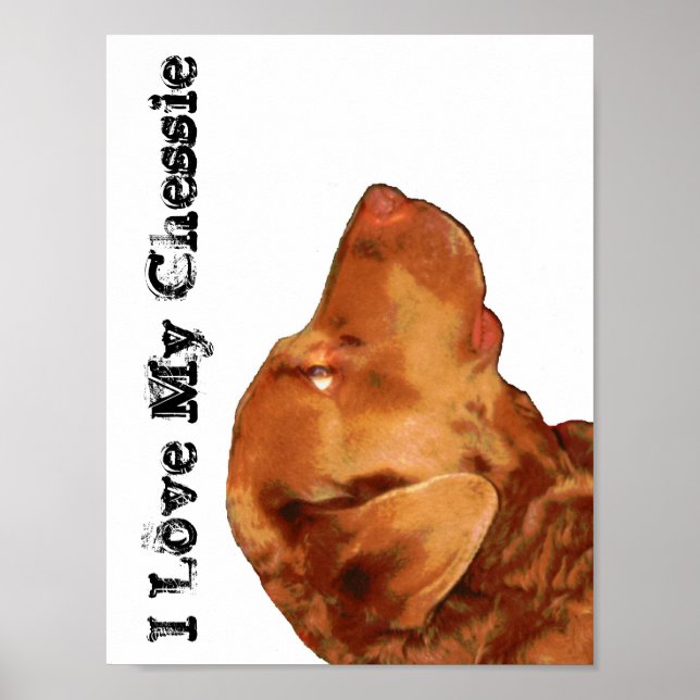 I Love My Chessie Poster (Devant)