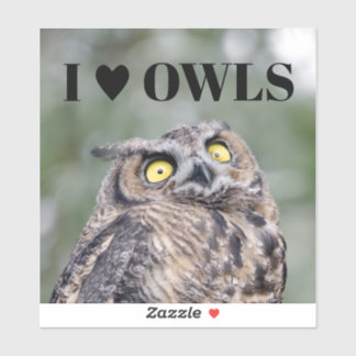 I Love Owls Sticker