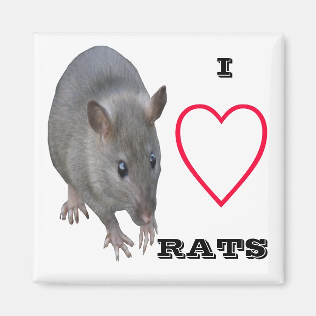 I Love Rats Magnet (Devant)