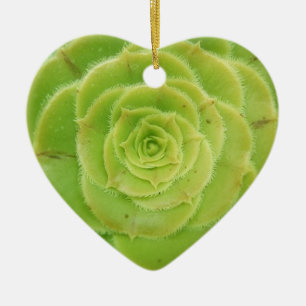 I Love Succulents Ornement Coeur Vert