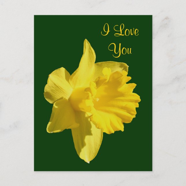 I Love You Daffodil Flower Photo Carte Postale (Devant)