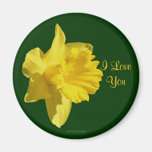 I Love You Daffodil Flower Photo Magnet