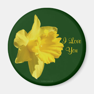 I Love You Daffodil Flower Photo Magnet