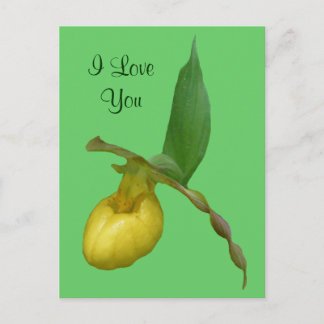 I Love You Lady Slipper Flower Photo Carte Postale