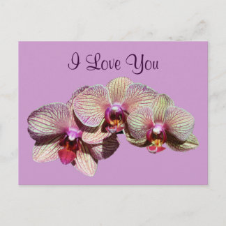 I Love You Orchid Trio Flower Photo Carte postale