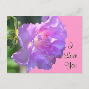 I Love You Pink Azalea Flower Photo Carte Postale