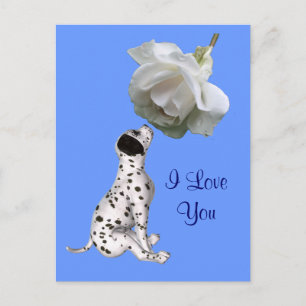I Love You Puppy Rose Carte postale Photo