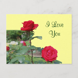 I Love You Red Roses Flower Photo Carte postale