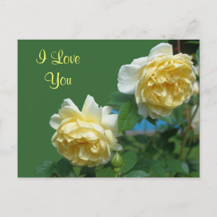 I Love You Yellow Roses Flower Photo Carte postale