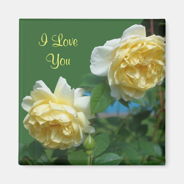 I Love You Yellow Roses Flower Photo Magnet (Devant)