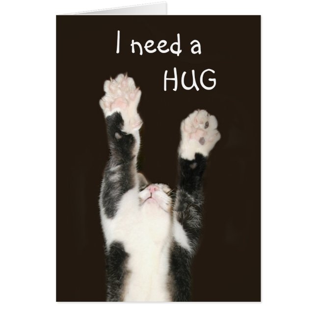 I need a hug cat (Devant)
