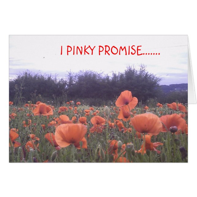 I PROMESSE ROSÂTRE ....... (Devant horizontal)