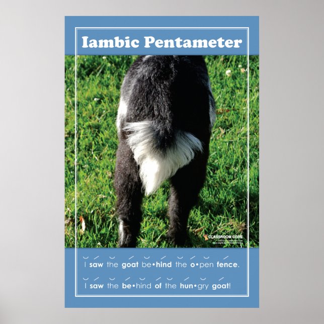 Iambic Pentameter 24" x 36" Classroom Poster (Devant)