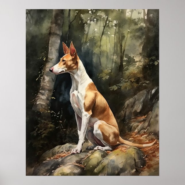 Ibizan Hound Dog Art Imprimer Poster (Devant)