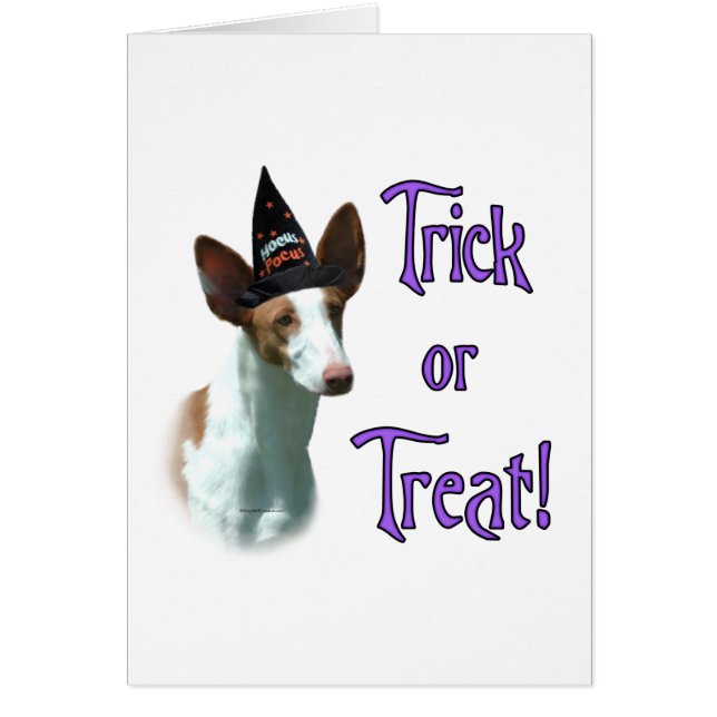 Ibizan Hound Trick (Devant)