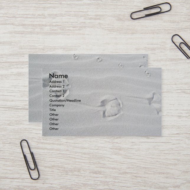 IBSP Cartes de visite des traces de mouettes (Devant/Arrière en situation)