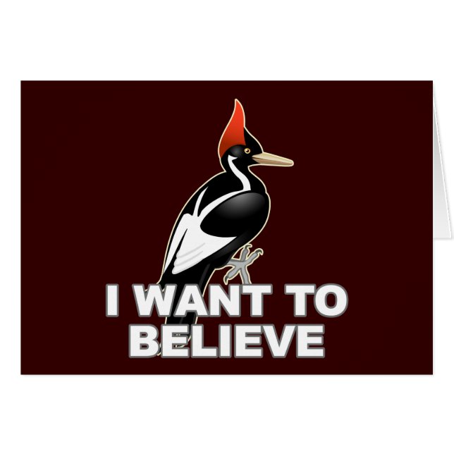 IBWO : Je veux croire (Devant horizontal)