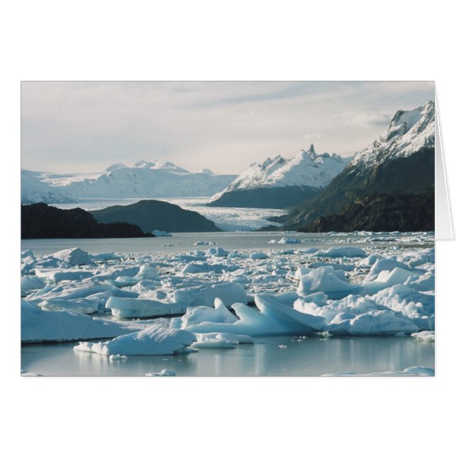 Icebergs glaciaires (Devant horizontal)