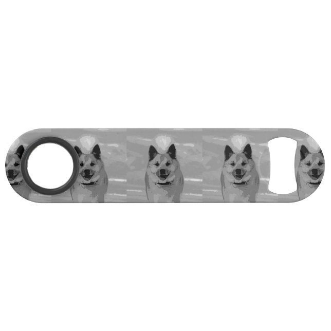 IcelandicSheepdog20151203 (Devant (Horizontal))