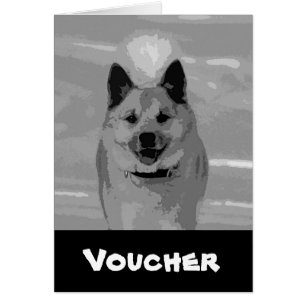 IcelandicSheepdog20151203