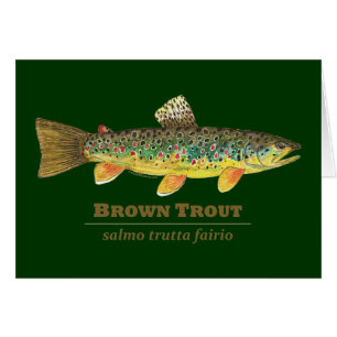 Ichthyologie latine de la truite Brown