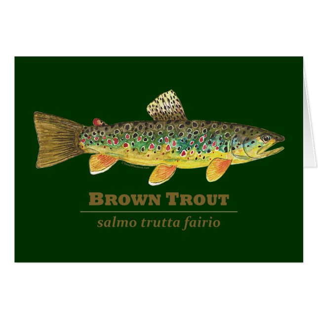 Ichthyologie latine de la truite Brown (Devant horizontal)